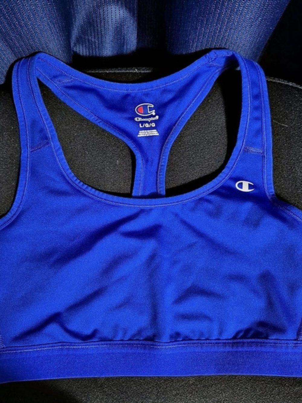 Champion Blue Sports Bra Size Large Like New